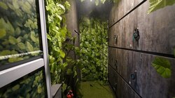 Jalan Bukit Merah (D3), Shop House #450418521